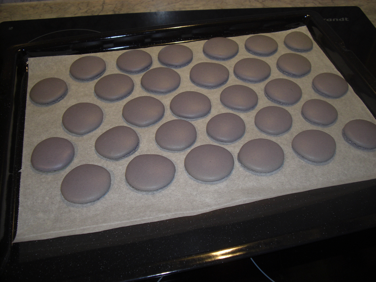 Coques macarons après cuisson